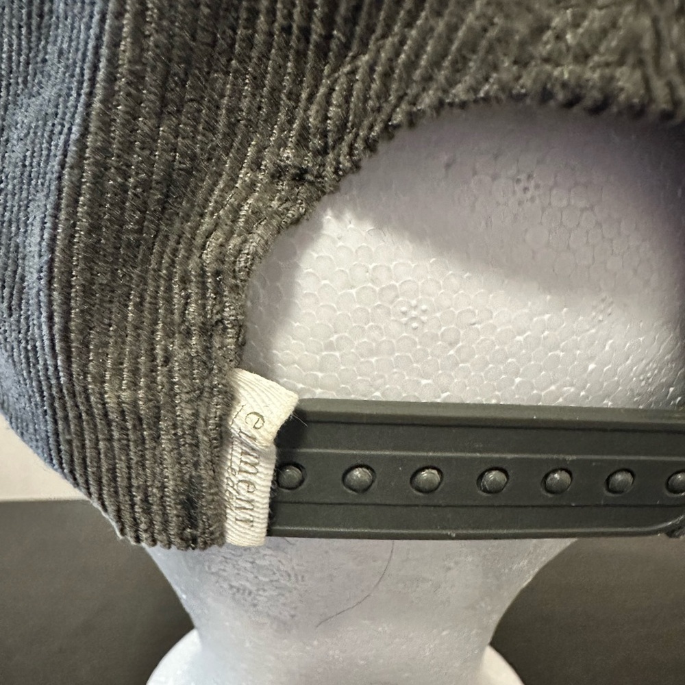 Elements Eden Gray Corduroy Dad Cap - Picture 6 of 9